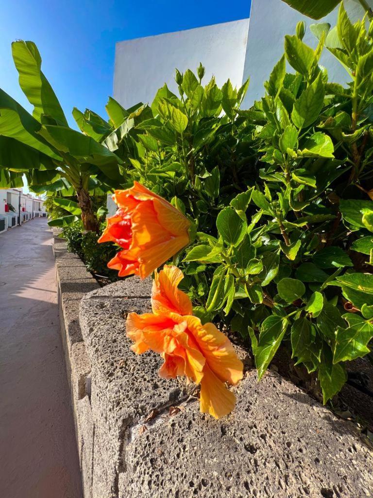 Apartament Malibu Blue Costa Adeje  ภายนอก รูปภาพ