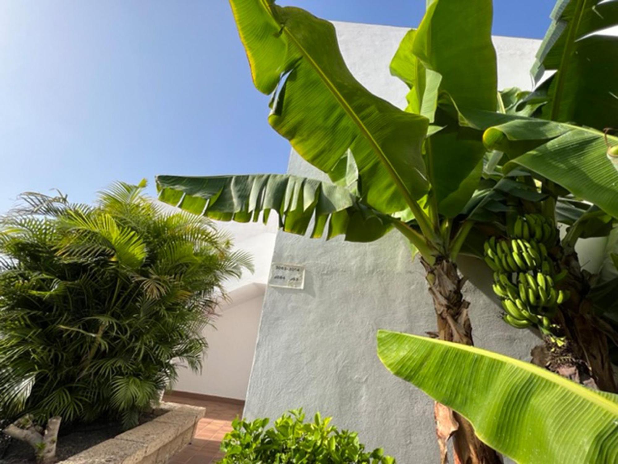 Apartament Malibu Blue Costa Adeje  ภายนอก รูปภาพ